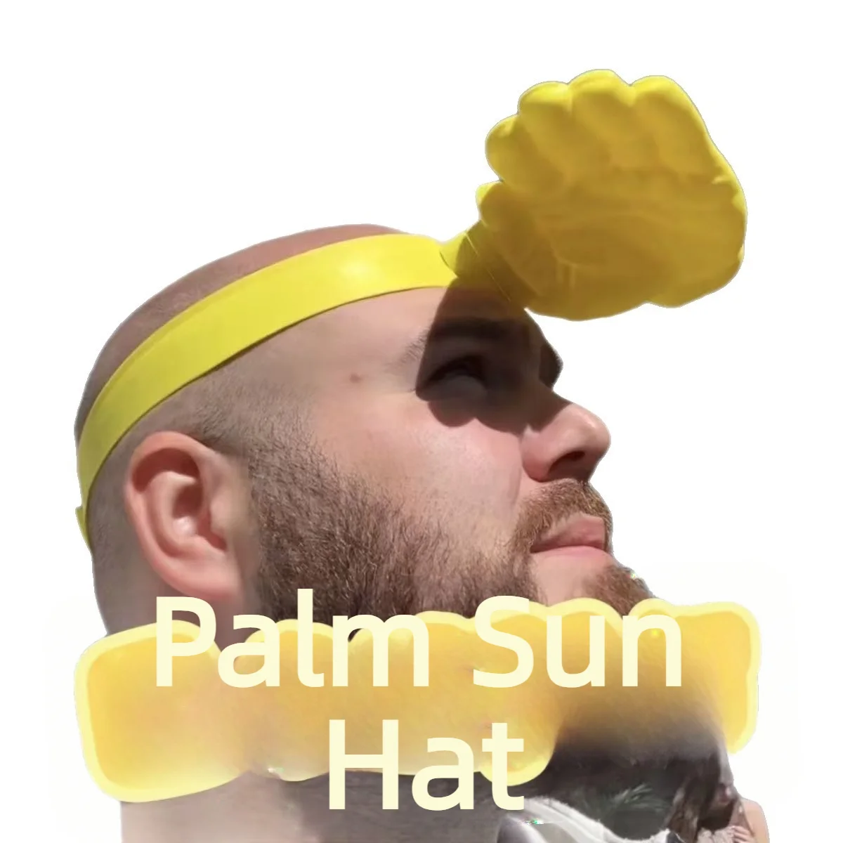 1/3Pcs Novelty 3D Palm Hand Sh - đánh giá và giá Visor Sun Hat